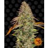 Barney's Farm Zkittlez OG Auto neobsahuje THC 3 ks