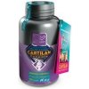 CARTILAN COMPLETE Altervet 300tbl