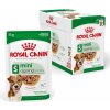 Royal Canin Dog Mini Ageing kapsička v šťave 12 x 85 g