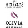 Small Miracles (Olivia Atwater)(Brožovaná)