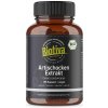 Biotiva Bio extrakt z Artičoky 150 kapsúl