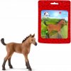 Figúrka Schleich 13854