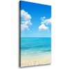 Vertikálny foto obraz na plátne Tropická pláž 50x100 cm
