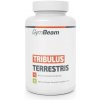 Tribulus Terrestris 240 tabliet - GymBeam
