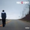EMINEM - RECOVERY (2VINYL)