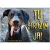 Pozorpes.sk, výstražná tabuľka (Doberman)