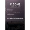 V dome - Philip Le Roy