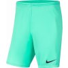 Nike M NK DRY PARK III SHORT NB K