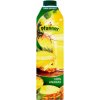 Pfanner Ananas 100% 1l