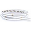 Solight LED COB svetelný pás 5m, 10W/m, 1000lm/m, CRI 90, IP44, studená biela WM618