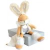 Doudou Darčeková sada - plyšový zajačik s dečkou 31 cm béžový