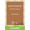 Jonáš Záborský. Nákres životopisný
