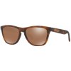 Oakley OO9013 FROGSKINS 9013-C5