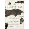 The Genius Bat (YOVEL YOSSI)(Pevná)