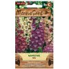 MoravoSeed Semená náprstníka, zmes, 800 ks