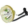 Lampa do projektora LG 6912B22008D varianta: Originálna lampa vrátane modulu