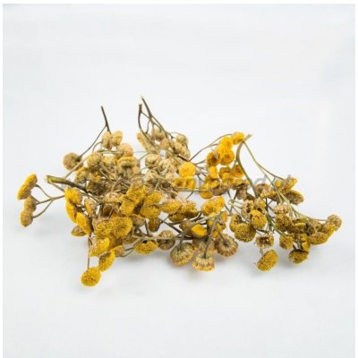 Vratič obyčajný kvet - tanacethum vulgare - 50g
