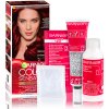 Garnier Color Sensation 4.60 rubínovo červená