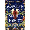 Sorcery and Small Magics (DOOCY MAIGA)(Brožovaná)