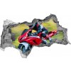 Foto fotografie diera na stenu Motocykel 95x73 cm