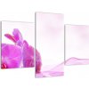 Obraz - orchidea (Obraz 90x60cm)