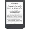 E-book POCKETBOOK 619 Verse Light, Midnight Grey, sivý PB619-T-WW