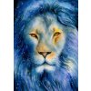 Puzzle Enjoy Hviezdny lev 1000 dielikov (1410)