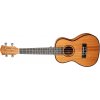 CASCHA HH 2035L