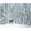 Zuty – Maľovanie Podľa Čísel – Srna A Zasnežené Stromy (D. Rusty Rust), 40 × 50 cm, Plátno 8596530159568