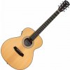 Pasadena PT-200E Natural Elektroakustická gitara