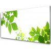 Sklenený obklad Do kuchyne Plátky rastlina príroda 100x50 cm