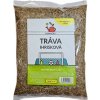 Tráva 250g ihrisková zmes na športové trávniky, nízka
