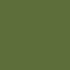 RAL 6025 farba nariedená, lakovateľná, 1 liter (RAL6025 FERN GREEN originálny odtieň farby pod bezfarebný lak ( ČSN 5226 ))