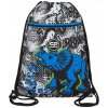 COOLPACK VERT VRECKO NA OBUV TELOCVIK ŠPORTOVÉ GIMNASTICKÉ CESTOVNÉ PRIESTRANNÉ T-REX