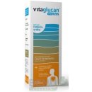 Vitaglucan elixir extrakt z Hlivy + s obsahom Hlohu a zinku 250 ml