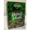 BOX Dinosauři Kniha a výukové karty