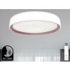 NEDES, s.r.o. LED stropná lampa OPAL + DO + OVLÁDANIE HLASOM 48W - LC902MV