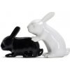 BUNNY - sada solnička korenička