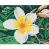 Diamondi Diamantové maľovanie - HAVAJSKÁ KVETINA Rámovanie: vypnuté plátno na rám, Rozmer: 40x50 cm