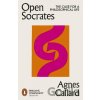 Open Socrates - Agnes Callard