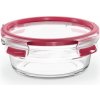Dóza Tefal Dóza 0.6 l Master Seal Glass kruhová N1040310 (N1040310)