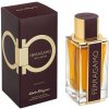 Salvatore Ferragamo Ferragamo Spicy Leather parfumovaná voda pánska 100 ml