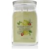 Yankee Candle vonná sviečka Praline & Birch 567 g