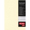 Agipa Štrukturovaný papier Pergamen šampanské, 95g, 100 hárkov