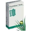 PROSTAKAN FORTE cps 160 mg/120 mg (blis.) 1x60 ks