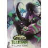 World of WarCraft - Illidan - William King
