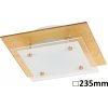 RABALUX Stropné svietidlo June LED 12 W – 960 lm – 3000 K – IP20