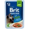 Brit Premium Cat D Fillets Gravy Duck Sterilised 85 g