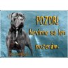 Pozorpes.sk, výstražná tabuľka (Cane corso)