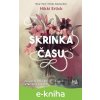Skrinka času - Nikki Erlick